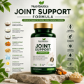 Nutribiotics Joint Support Formula